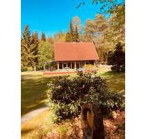 Ferienhaus am Wald Wulsbüttel Hundeurlaub; 10.09 bis 17.09 frei - Hagen im Bremischen