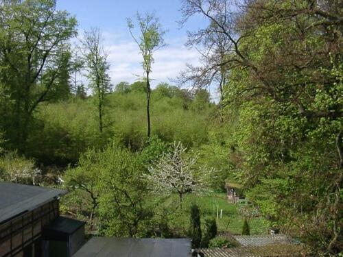 Foto - 4 Zimmer Etagenwohnung in Bad Doberan