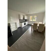 Elkenroth 58qm Erdgeschosswohnung mit Terrasse