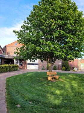 Foto - 2 Zimmer Dachgeschoßwohnung zur Miete in Friedeburg