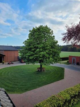 Foto - 2 Zimmer Dachgeschoßwohnung in Friedeburg