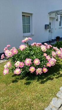 Foto - 4 Zimmer Doppelhaushälfte zur Miete in Reichertsheim
