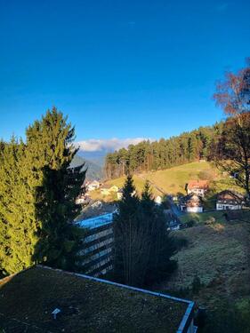 Foto - möblierte gut gepfl. Wohnung + Garage + EBK + Balkon Baiersbronn