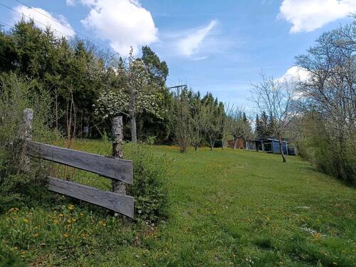 Foto - Freizeitgrundstück in Calw Stammheim super Südhanglage