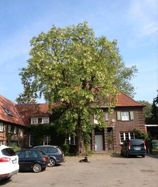 Foto - großes Haus auf Reiterhof mit Garten u. Option auf Pferdehaltung