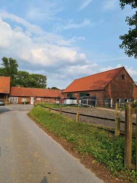 Foto - 6 Zimmer Bauernhaus, Landhaus in Drensteinfurt