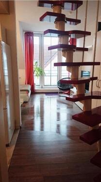 Foto - 1 Zimmer Etagenwohnung zur Miete in Oldenburg