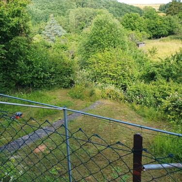 Foto - Einfamilienhaus in Rothselberg zum Kaufen