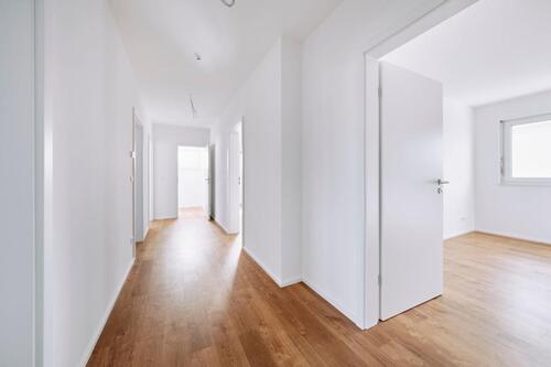 Foto - 2 Zimmer Erdgeschoßwohnung in Wiesentheid