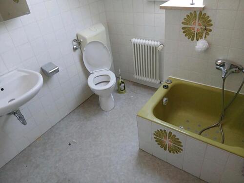 Foto - 8 Zimmer Einfamilienhaus in Baiersdorf