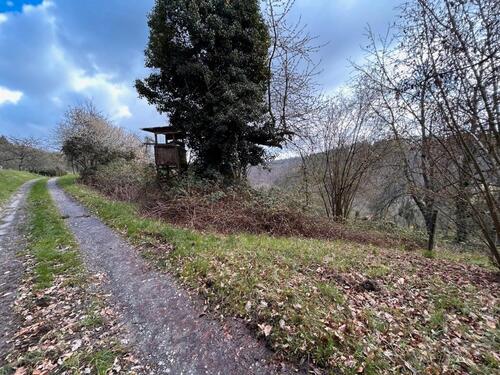 Foto - Gartengrundstücke in Winterbach Burgklinge