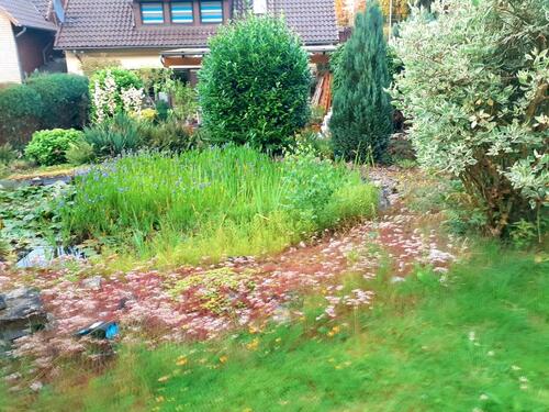 Foto - Einfamilienhaus in Rinteln