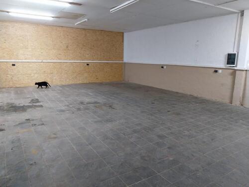 Foto - Halle zu vermieten, Werkstatt, Lager, Garage