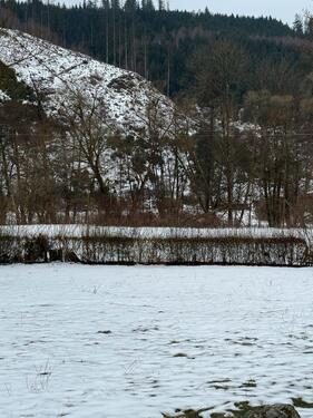 Foto - 3 Zimmer Dachgeschoßwohnung zur Miete in Steinwiesen