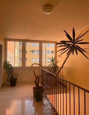 Foto - Etagenwohnung in München zur Miete