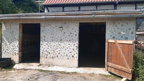 Foto - Mehrfamilienhaus, Wohnhaus in Grimma zum Kaufen