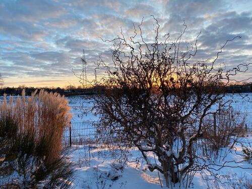 Foto - 4 Zimmer Einfamilienhaus in Bad Zwischenahn