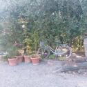 Foto - andere in Friedrichshafen