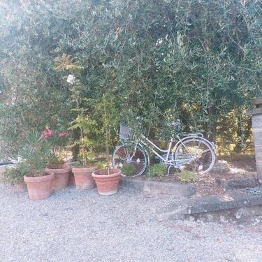 Foto - andere in Friedrichshafen