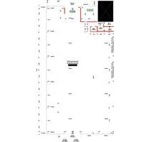 Gewerbeflächen ab Sofort zu vermieten - Offenburg Elgersweier