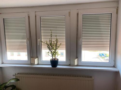 Foto - Dachgeschoßwohnung in Delitzsch zur Miete