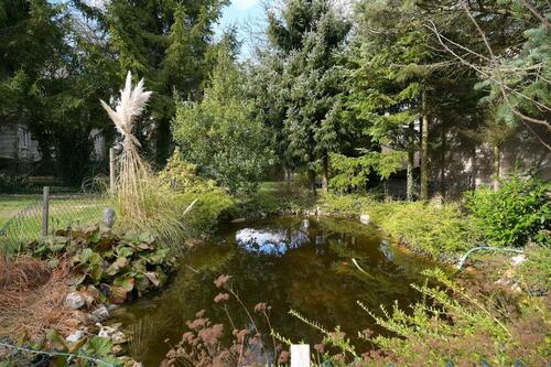 Foto - 5 Zimmer Einfamilienhaus in Rhaunen