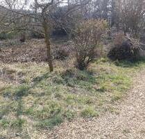 Garten 2er WG Tinyhaus Stellplatz Strom Bad Abstellraum 900qm - Hallgarten