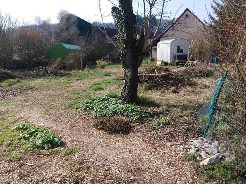 Foto - Grundst&uuml;ck in Hallgarten zur Miete