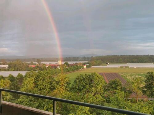 Foto - 3 Zimmer Dachgeschoßwohnung zur Miete in Weiterstadt