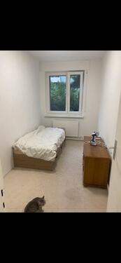 Foto - 1 Zimmer in 2er Frauen WG, Berlin Britz für Katzenliebhaber