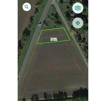 Naturgrundstück in Neundorf 1248m² für ihr Projekt - Staßfurt