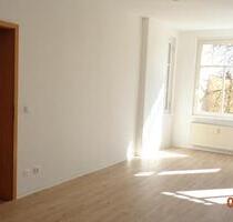 WARNUNG ! Einfach urgemütlich. - 335,00&nbsp;EUR Kaltmiete, ca.&nbsp; 45,00&nbsp;m&sup2; in Naumburg (Saale) (PLZ: 06618)