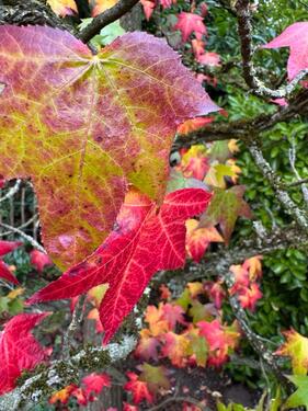 Foto - REH Langenfeld ab 0326 - 2.300,00 EUR Kaltmiete, ca.  135,00 m²