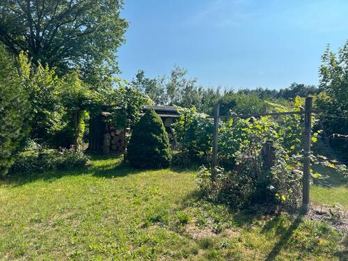Foto - 3 Zimmer Einfamilienhaus in Wittenberg Lutherstadt