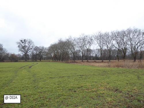 Foto - AUKTION - Landwirtschaftsflächen in unmittelbarer Nähe zur Bahnlinie