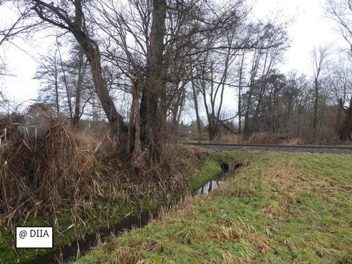 Foto - Grundst&uuml;ck in Burg