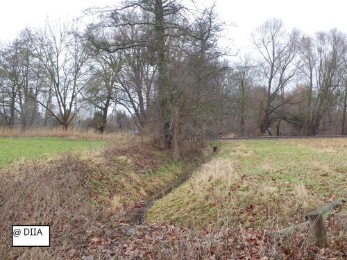 Foto - Grundst&uuml;ck in Burg zum Kaufen