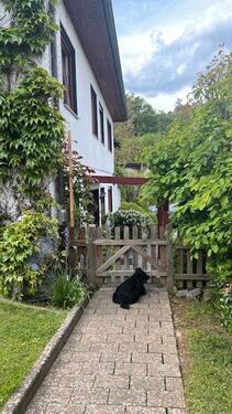 Foto - 2 Zimmer Einfamilienhaus in Adelebsen