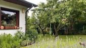 Foto - Einfamilienhaus in Adelebsen zum Kaufen
