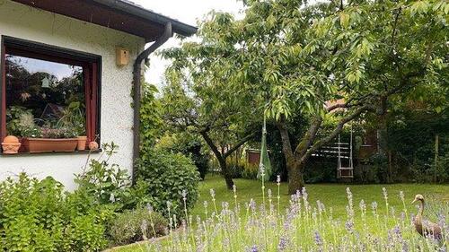 Foto - Einfamilienhaus in Adelebsen zum Kaufen