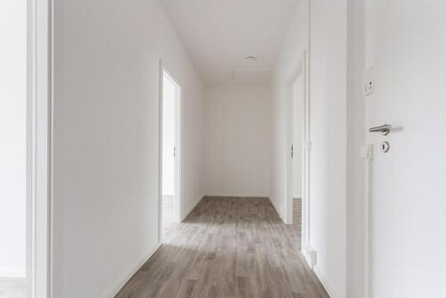 Foto - 2 Zimmer Etagenwohnung zur Miete in Chemnitz