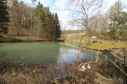Foto - Einfamilienhaus in Königsberg in Bayern