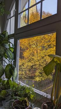 Foto - 4 Zimmer Etagenwohnung in Lübeck