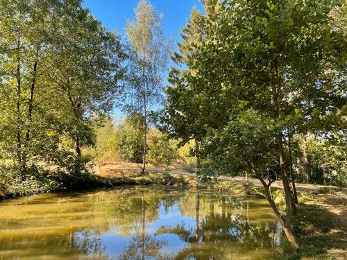 Foto - Grundst&uuml;ck in Schillingen zur Miete