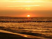 Foto - andere in Prerow