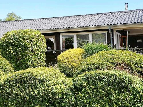 Foto - Ferienhaus Ostsee Schlei Kappeln