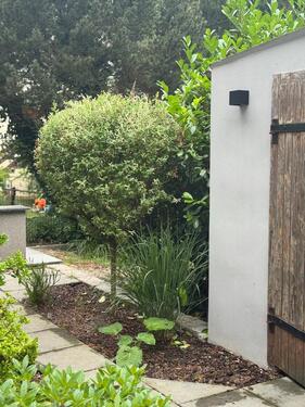Foto - Einfamilienhaus in Dessau-Roßlau zum Kaufen