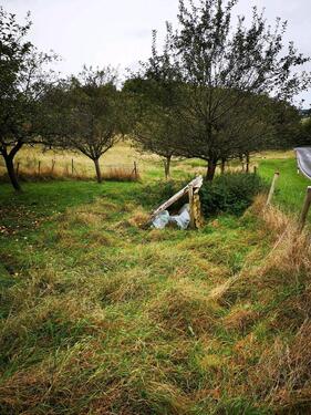 Foto - Streuobstwiese Freizeitgrundstück Garten Wiese Grundstück