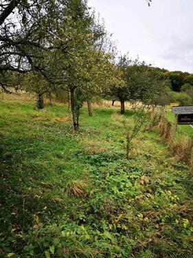 Foto - Grundst&uuml;ck zur Miete in Morbach