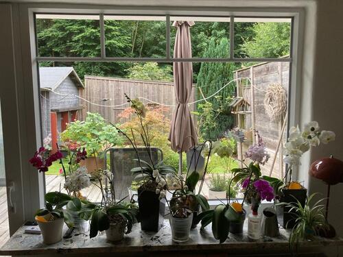 Foto - Einfamilienhaus in Bad Grund (Harz)